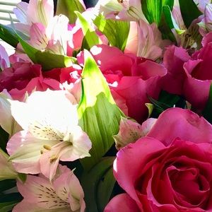 Meet your Posher, Lia